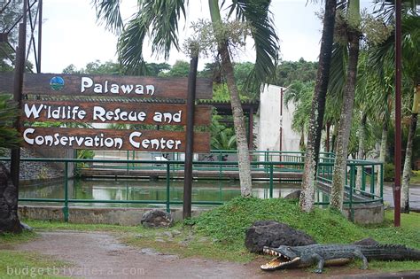 crocodile farm puerto princesa.